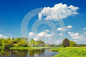 Landscape with flood waters of Narew river, Poland