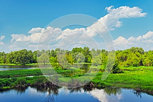 Landscape with flood waters of Narew river, Poland