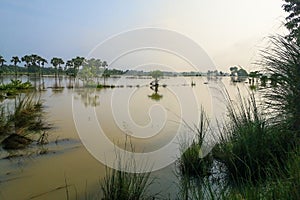 The landscape of flooded vast wetlands after heavy rain in West