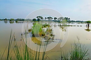 The landscape of flooded vast wetlands after heavy rain in West Bengal of India