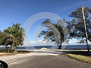 Landscape in Florida photo