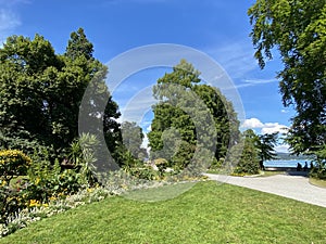 Landscape of The Flower Island Mainau on the Lake Constance or Landschaft der Blumeninsel im Bodensee - Constance, Germany