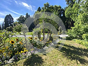 Landscape of The Flower Island Mainau on the Lake Constance or Landschaft der Blumeninsel im Bodensee - Constance, Germany