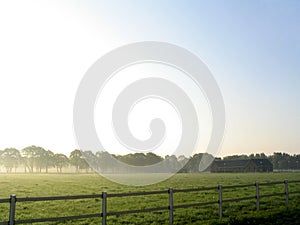 Landscape in fog