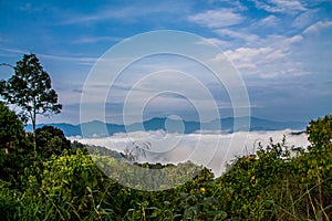 Landscape of fog cloud and mountain