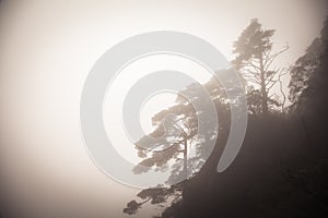 Landscape of fog mountains of china