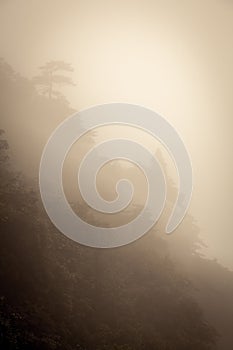 Landscape of fog mountains of china