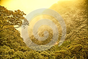 Landscape of fog mountains of china