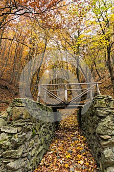 Landscape with Fog in the yellow forest and wooden bridge, Vitosha Mountain, Bulgaria