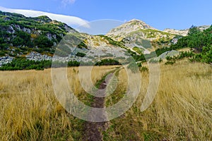 Landscape and footpath, in Pirin National Park