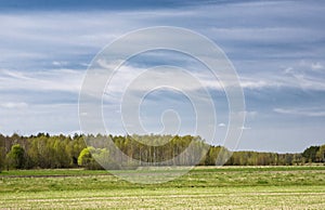 Landscape with forest