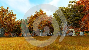 Landscape forest autum 3D render