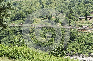 Landscape with forest and bridge in nepal