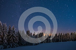 Landscape of a forest covered in trees and snow under a starry sky in the night