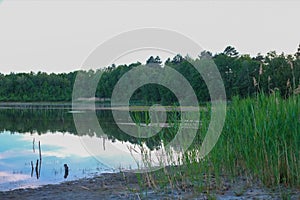 landscape on a forest lake with reflections on a summer morning