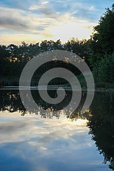 landscape on a forest lake with reflections on a summer morning