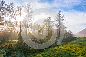 Landscape with forest and meadow in morning mist