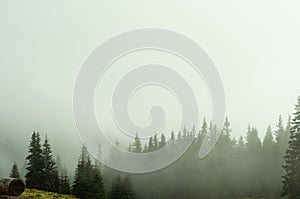 landscape forest and mountains in the mist silhouettes of peaks