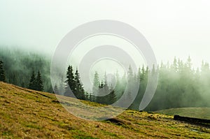 landscape forest and mountains in the mist silhouettes of peaks