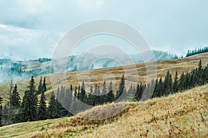 landscape forest and mountains in the mist silhouettes of peaks travel