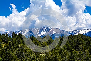 Landscape of forest and pyrenees mountains