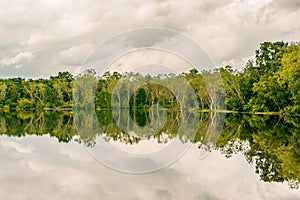 Landscape forest and reservoir views.