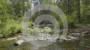 Landscape with forest and a river in front. Beautiful scenery. River in the forest