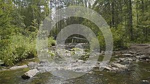 Landscape with forest and a river in front. Beautiful scenery. River in the forest