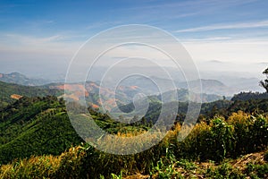 Landscape of forest in sierra that some part was deforestation by human, Nan