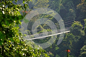 Landscape in a forest with a suspension bridge.