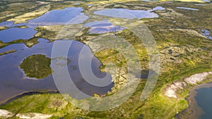 Landscape of the forest-tundra, aerial view, traces of caterpillar equipment on the surface of tundra vegetation, nature