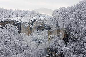 Landscape of the forested hills in the snow