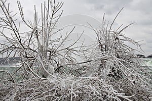 Landscape of freeze and snow in the winter of Canada