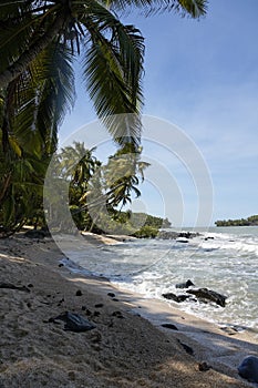 Landscape of French Guyana