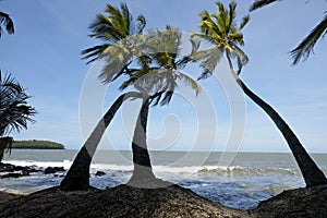 Landscape of French Guyana