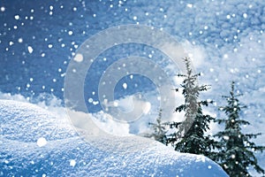 Landscape. Frozen winter forest with snow covered trees