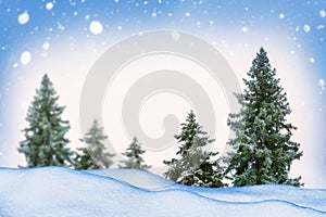 Landscape. Frozen winter forest with snow covered trees