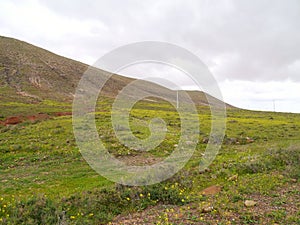 Landscape of Fuerteventura