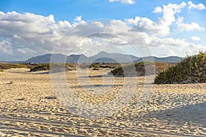 Landscape of Fuerteventura with Sand Dunes of Corralejo