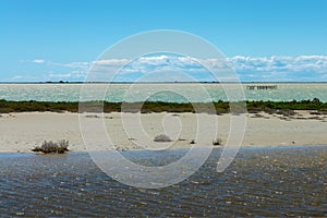 Landscape of the Galabert lake in the Camargue in Provence France