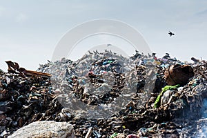 Landscape of the garbage dump full of smoke, litter, plastic bottles,rubbish and trash at tropical island