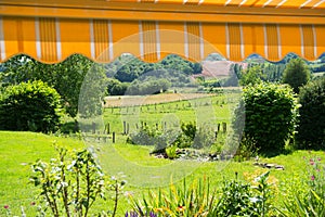Landscape garden and French Limousin photo