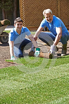 Landscape Gardeners Laying Turf For New Lawn
