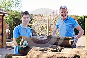 Landscape Gardeners Laying Turf For New Lawn