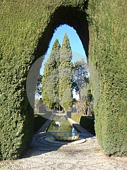 Landscape of the gardens of the Alhambra photo