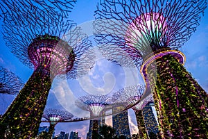 Landscape of Gardens by the Bay in singapore