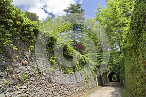 Landscape in Garrotxa region,touristic route,Ruta del carrilet i