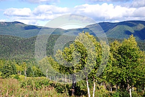 Landscape of Gaspesie National Park