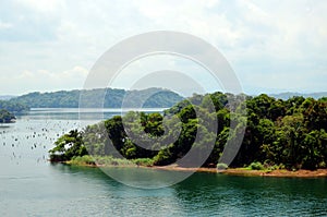 Landscape of the Gatun Lake.