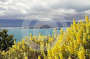 Landscape at the General Carrera Lake, Patagonia, Chile